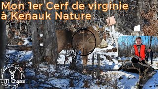 Chasse au Cerf de virginie à Kenauk Nature   Deer Hunting [upl. by Atsylac818]