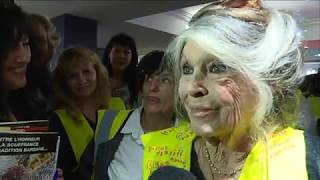 Brigitte Bardot invitéesurprise dune réunion de gilets jaunes dans le Var [upl. by Serena]