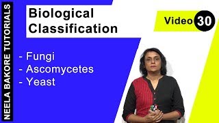 Biological Classification  NEET  Fungi  Ascomycetes  Yeast  Neela Bakore Tutorials [upl. by Broeker]