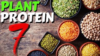 Top 7 Sources of Plant Protein [upl. by Htor280]