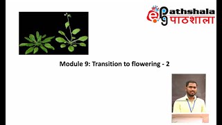 Module 9 Transition to Flowering  2 EPGPathshala [upl. by Pauline]