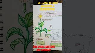 Difference between autotrophs amp heterotrophsviralvideo biology shorts videoshortsviral [upl. by Nnairret932]