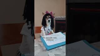 Cruciverba😎😂 jackrussell indovinelli merybijouesciarpina comedy Cruciverbi [upl. by Aikcin98]