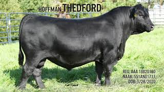 HOFFMAN THEDFORD [upl. by Eyaf]