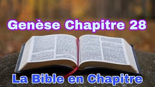 Genese Chapitre 28 [upl. by Cosette]