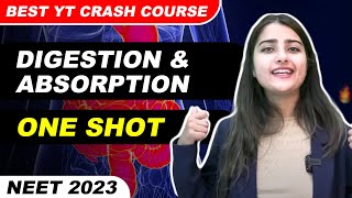 Digestion amp Absorption  One Shot  Best YT Crash Course  SeepPahuja neet2023 [upl. by Carly]