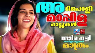 Mappila Cover Songs  Mappila Pattukal Cover songs Mappilapattukal Mappila Pattukal Malayalam [upl. by Sandie]