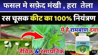 Pi Visma Fungicide।। Visma Fungicide ।। FertiLizerExpert ।। Best Fungicide in 2024 [upl. by Kahle]