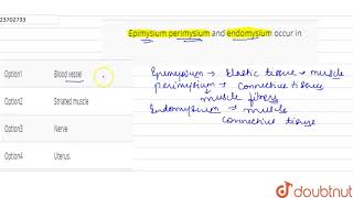 Epimysium perimysium and endomysium occur in [upl. by Tiffie]