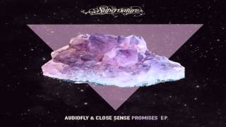 Audiofly amp Close Sense feat Daniel Wilde  You Promised Dub Mix [upl. by Sykleb639]