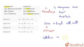 Match the column quotSubstratequot quotEnzymequotquotA Ribonucleotidequot quoti Chitinasequot [upl. by Arikehs]