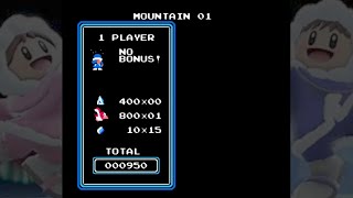 Ice Climber  Game Over NES [upl. by Shanon]