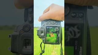 Nikon Camera Photoshoot With Different 📸😱 shorts photography trending india [upl. by Eanej]