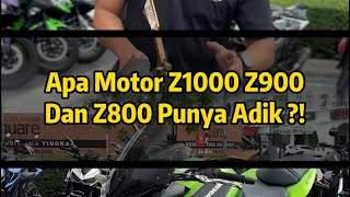 REVIEW Kawasaki Z800 Ada Adik ✨ [upl. by Aihselef]