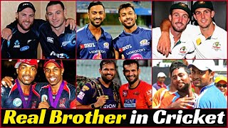 24 Real Brothers in Cricket History And Cricketer Twin Brothers [upl. by Dolphin]