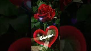 💓Tatlı Rüyalar AŞKIM💓Güzel dilekler [upl. by Pamela5]