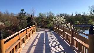 Meijer Gardens Japanese garden walkthrough [upl. by Armahs]