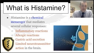 Histamine and its Actions  Quick Review [upl. by Nohtanhoj]