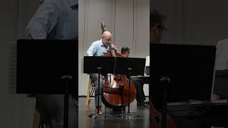 Sonata in E Minor for Double Bass and Piano Andante Moderato by Vilmos Montag doublebass [upl. by Pammy]