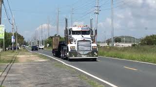 RT Asphalt Kenworth T800 😍🥵💪🏻💯🚛🇵🇷 [upl. by Jessey]