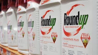 The Monsanto Papers  Roundup amp The Canadian Connection  Enquête [upl. by Allesor73]