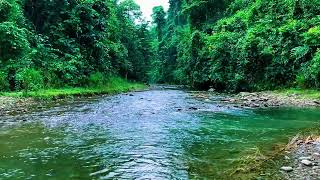 Babbling brook sounds 3 hours  Nature sounds river sounds for deep sleep relaxing ASMR [upl. by Flavius]