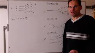 Elementarteilchenphysik 20 Teilchenreaktionen im Standardmodell der schwachen Wechselwirkung [upl. by Elcin]