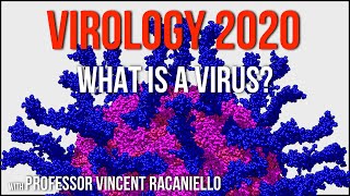 Virology Lectures 2020 1 What is a Virus [upl. by Esyahc600]