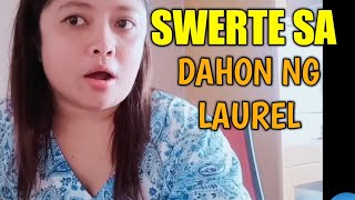 Vlog  52 Dahon ng Laurel Pampaswerte sa Bahay Negosyo at Trabaho [upl. by Ahsyekal847]