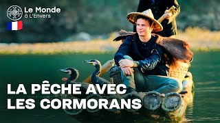 La pêche exotique  la technique secrète des cormorans Le Monde à LEnvers [upl. by Algy665]