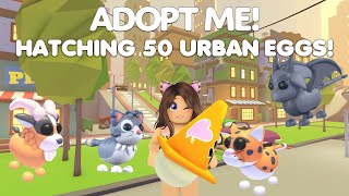 Hatching 50 URBAN EGGS SO LUCKY LEGENDARY PETS in Adopt me [upl. by Leahciam]