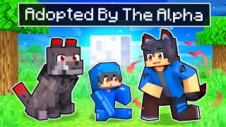 Adopted By The ALPHA Wolf In Minecraft [upl. by Silsby]