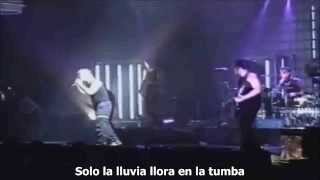 Rammstein  Spieluhr Sub Español  Live  Hamburg 2001 HD [upl. by Nyrek]