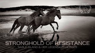 Stronghold of Resistance Sable Island amp Her Legendary Horses [upl. by Evod720]