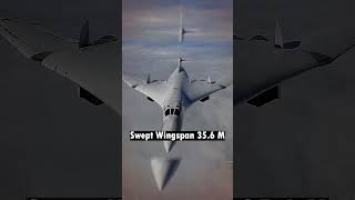 Tupolev Tu160  Fastest and Heaviest Supersonic Bomber shorts army russia bomber [upl. by Gennifer93]