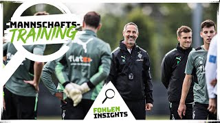 Die Vorbereitung läuft 🔥  FohlenInsights  Training [upl. by Yeslehc]