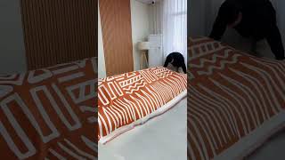 Best sofa cover for home，Best washable couch cover Best couch cover for dogs sofacushions [upl. by Enyallij239]