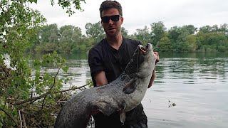 SPINNING al SILURO sul Fiume Ticino  Wels CATFISH on the River [upl. by Odlanier]