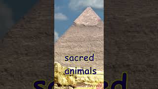 Cats in Ancient Egypt ancientegypt StoryClub storytelling [upl. by Yenduhc]