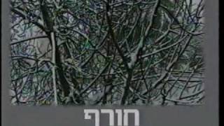 חורףויואלדיwmv [upl. by Claudine]