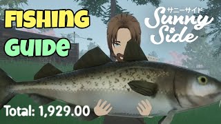 How to Fish in SunnySide A Great Money Maker [upl. by Annaierb]