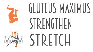 Gluteus Maximus Strengthen and Stretch [upl. by Hoehne482]