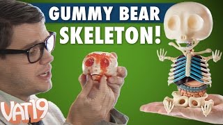 Gummy Bear Skeleton [upl. by Severson]