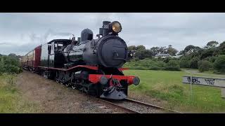 Steam Train  Queenscliff Victoria Australia  28122023 [upl. by Aurelie527]