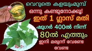 അറിയാതെ പോവല്ലേ ഇനി മരുന്നു കഴിക്കേണ്ട വെറും രണ്ടില മതി ഷുഗർ പ്രഷർ കൊളസ്ട്രോൾ ഇനി അടുക്കില്ല Uses [upl. by Tormoria]