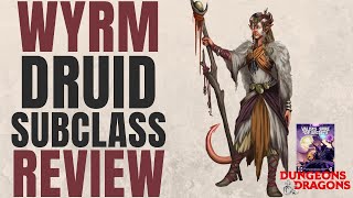 Wyrm Druid Subclass Review Valdas Spire of Secrets  DampD 5e Subclass Series [upl. by Ardme767]