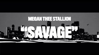 Megan Thee Stallion  Savage Animated Video [upl. by Thornie90]