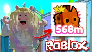 Pet Simulator X  ROBLOX  LEGENDARY PET AGAD [upl. by Pace]