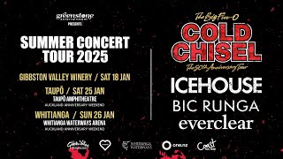 Cold Chisel Icehouse Bic Runga and Everclear at Greenstone Summer Concert Tour 2025 [upl. by Nolla]