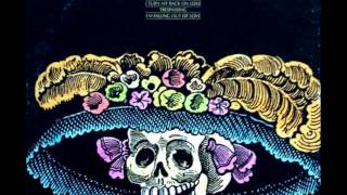 Skull Snaps  Its A New Day 1973 [upl. by Oates]